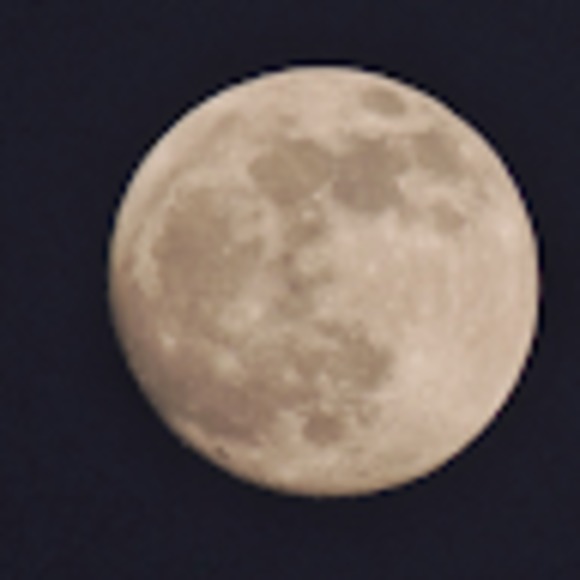 Meet your Posher, Beth - Picture 1 of 1